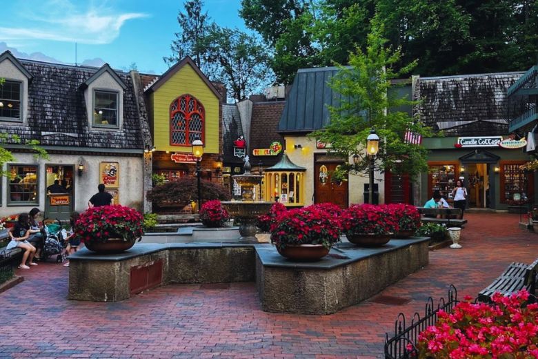 Things To Do The Village Shops